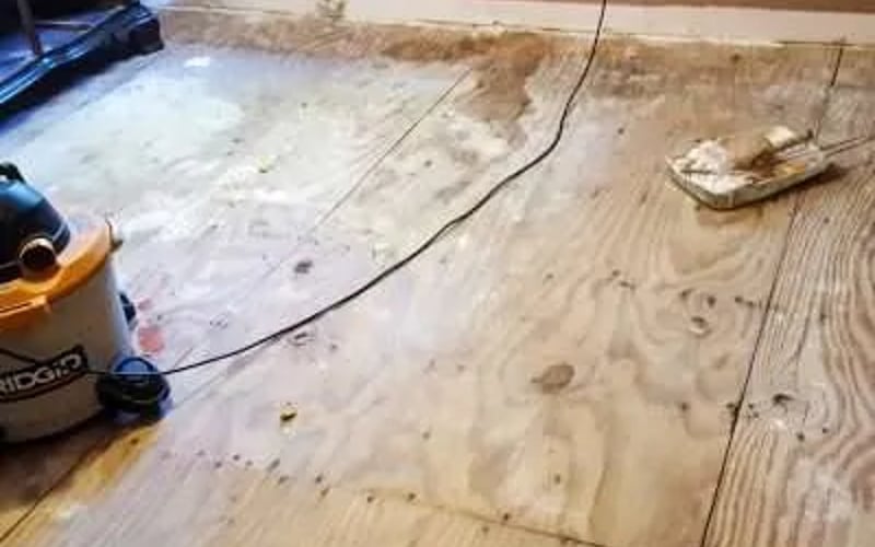 Subfloor Preparation by Waze Development