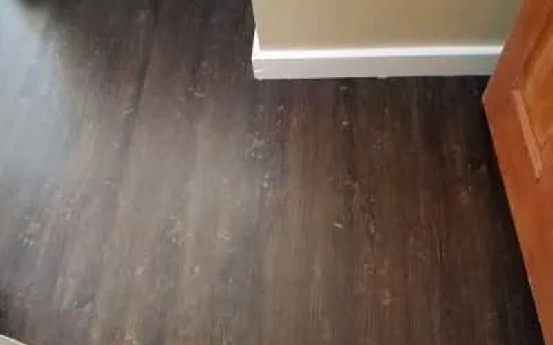 Floor Nearly Done