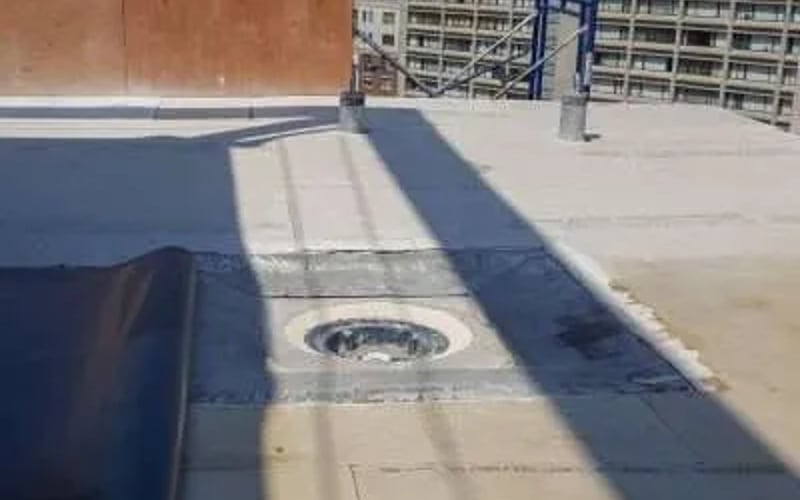 TPO Roof, Cambridge
