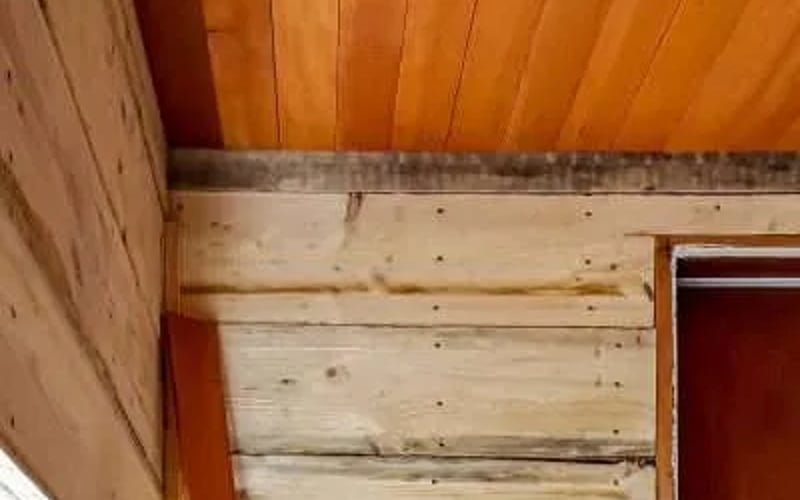 Wood Ceiling and Wall
